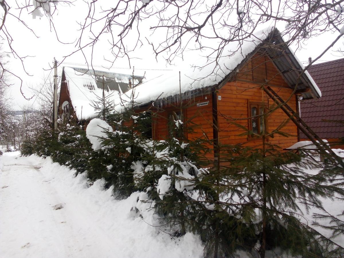 Holiday Home,805697877:JPEG