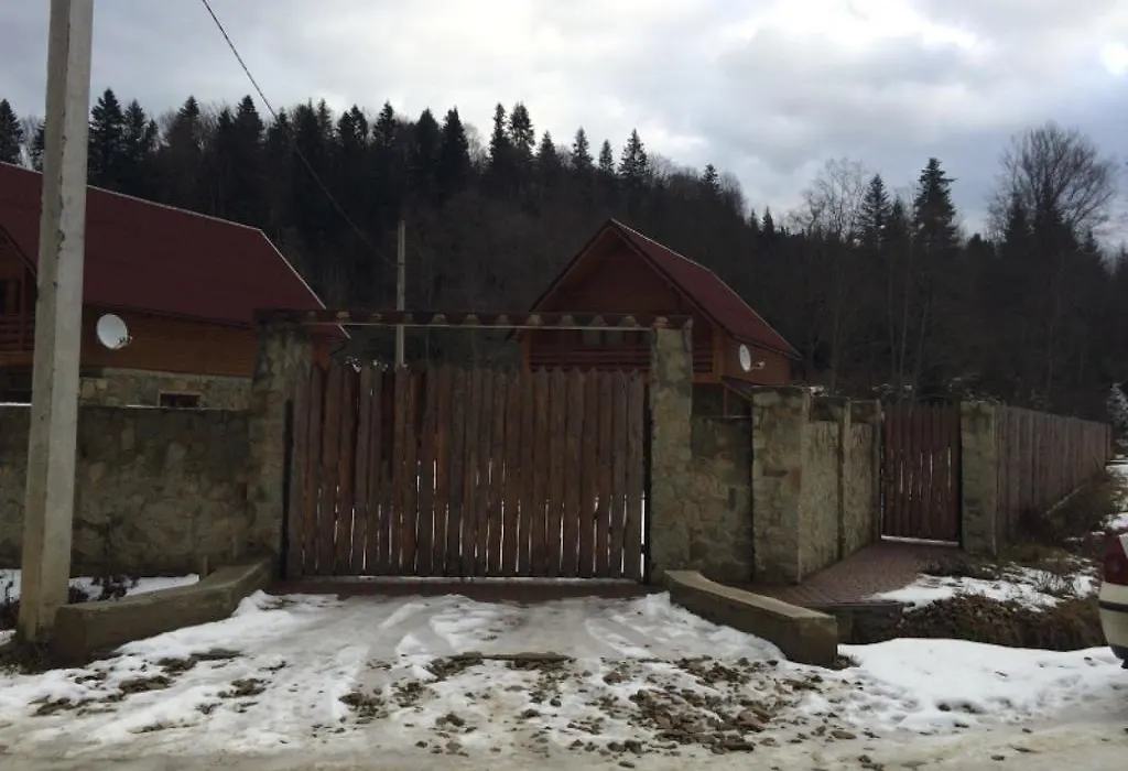 Guest House In Carpathians-1