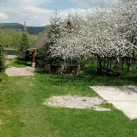 Колорит-3