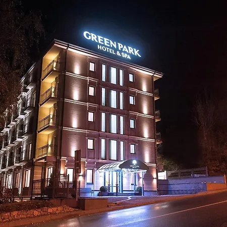 Green Park Hotel & Spa-3