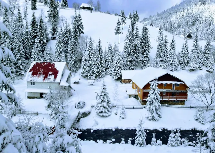 Wohnungen in Ukrainian Carpathians