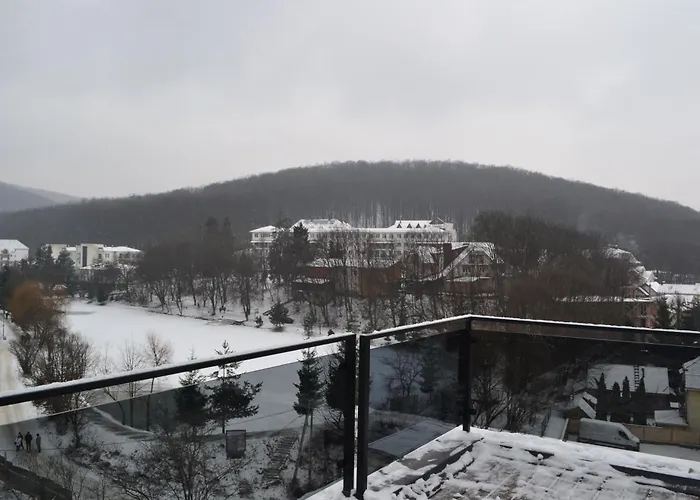 Village Apartments Polyana