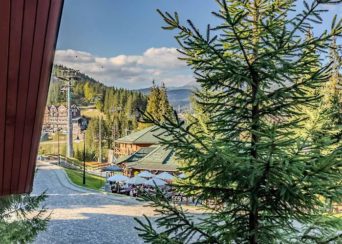 Hoteles que admiten perros en Ukrainian Carpathians