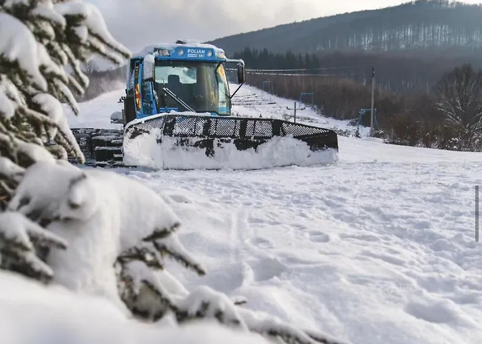Готелі в Поляна