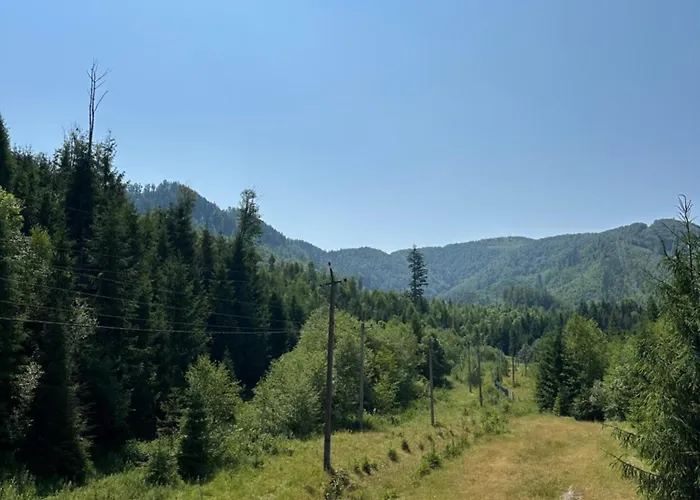 Готель Wooddream Воловець