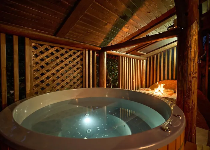 Guest House Plai Яремче
